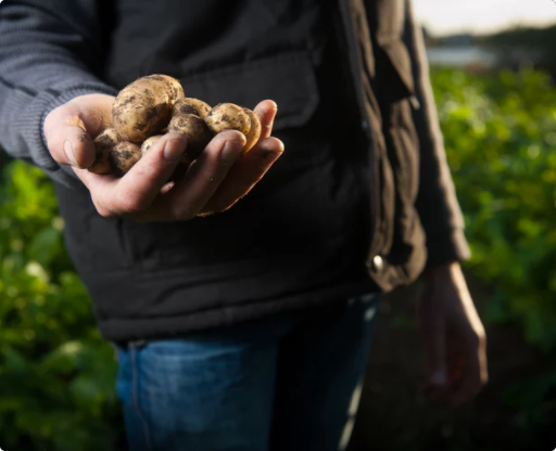 Cultivating the land with farm practices that are eco-friendly