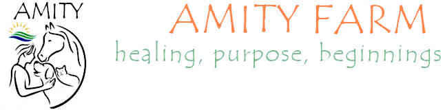 Amity Farm healing with the land